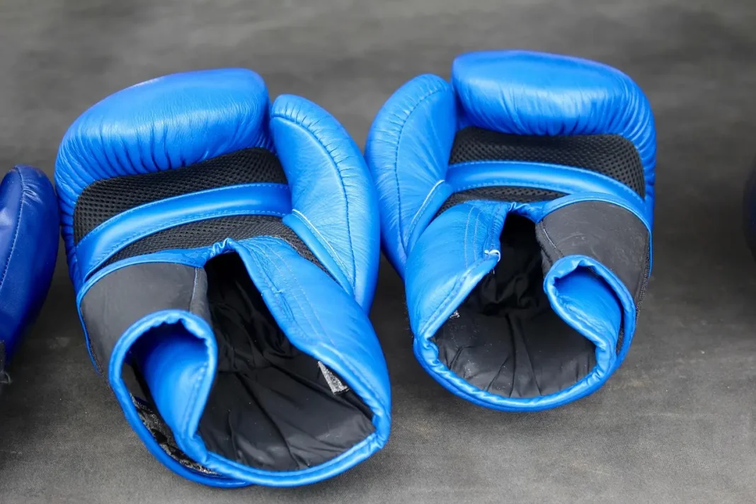 peggy_marco-boxing-1198688_1280